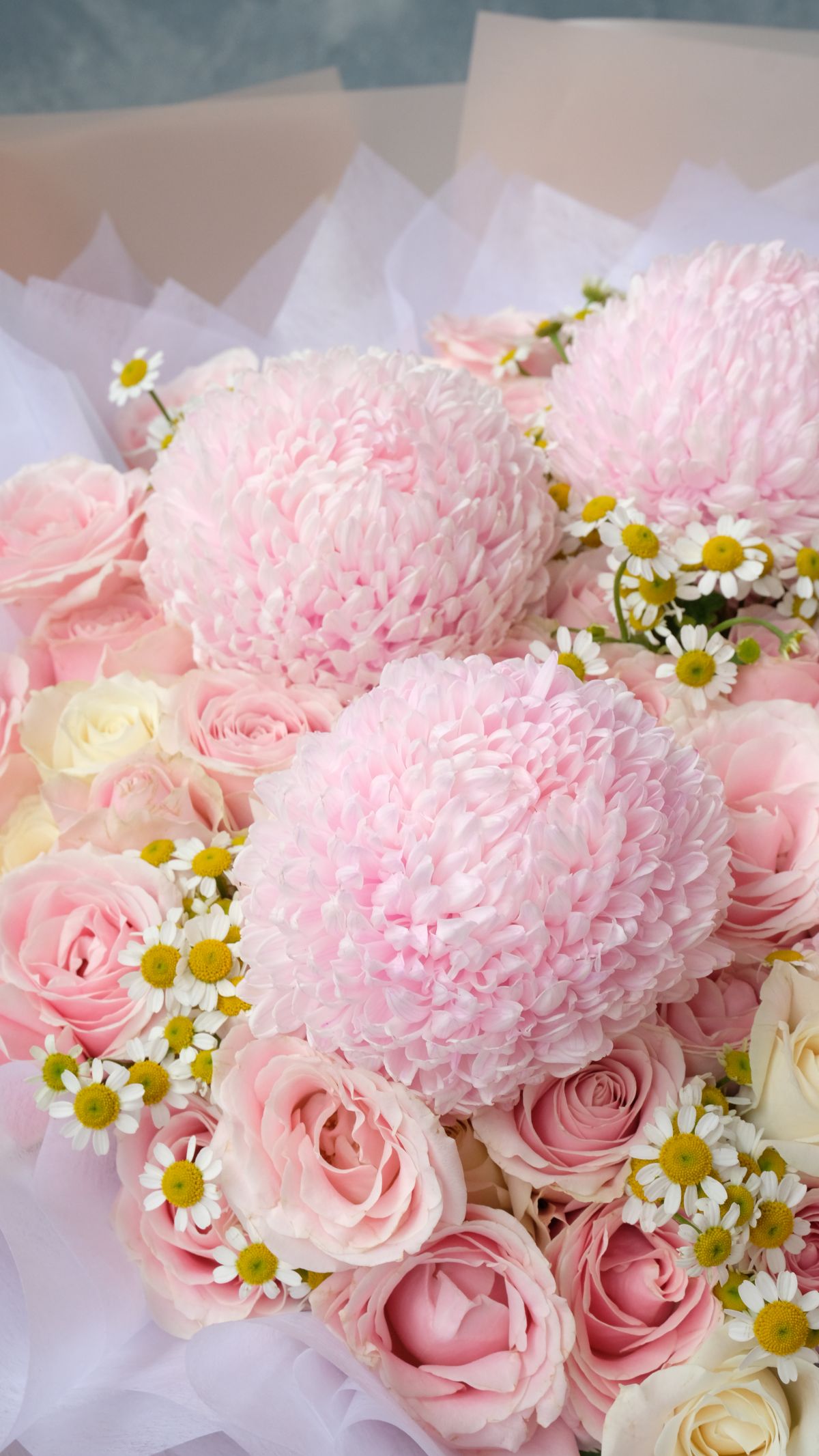 Blush Peony Mum - Thumbnail 2 - fresh
