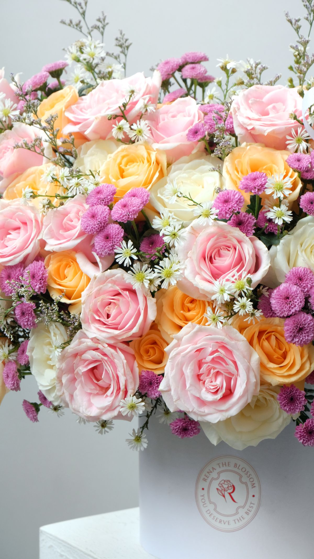 Cloud Rose - View 2