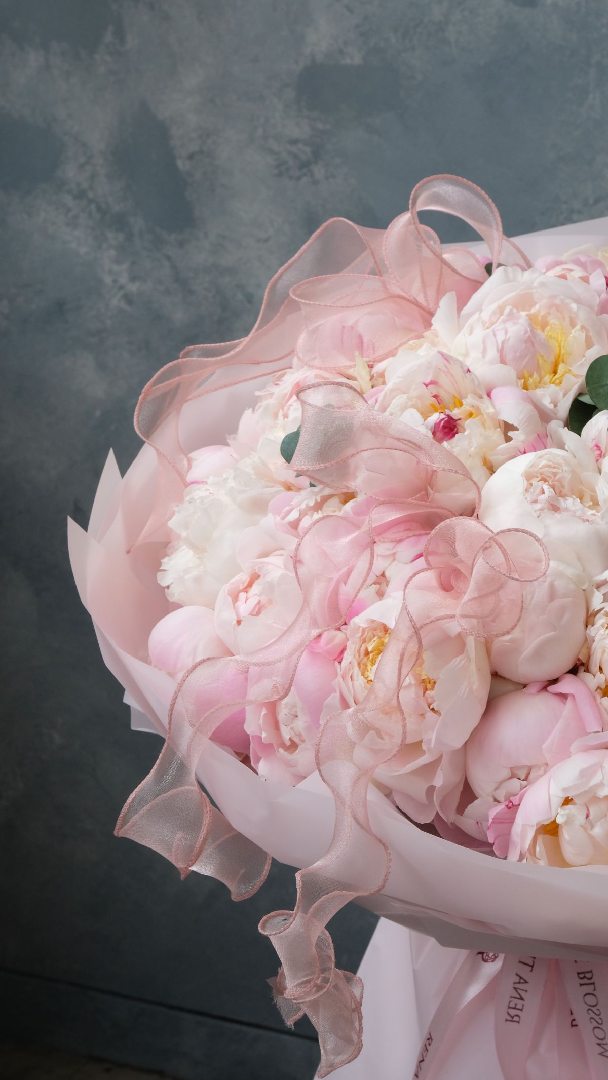 Couquett Peony - View 2