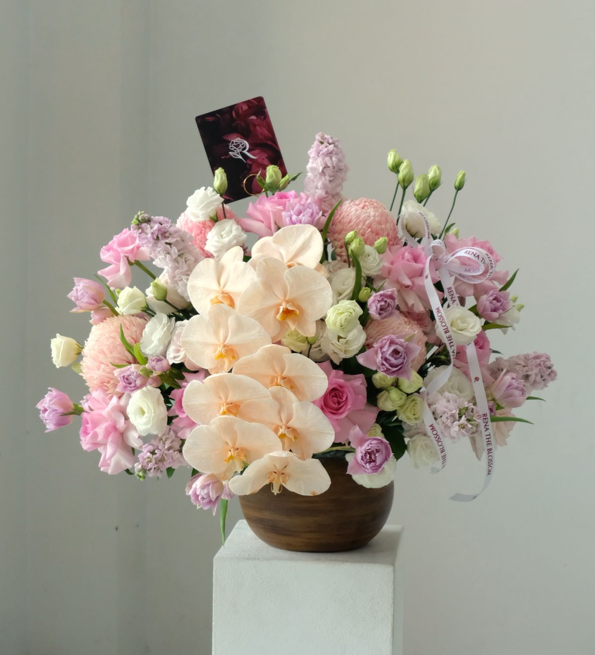 Orchid Ophelia - Rena The Blossom Jakarta