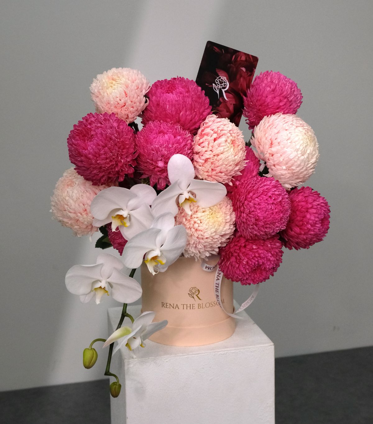 Pink Pearl - Rena The Blossom Jakarta