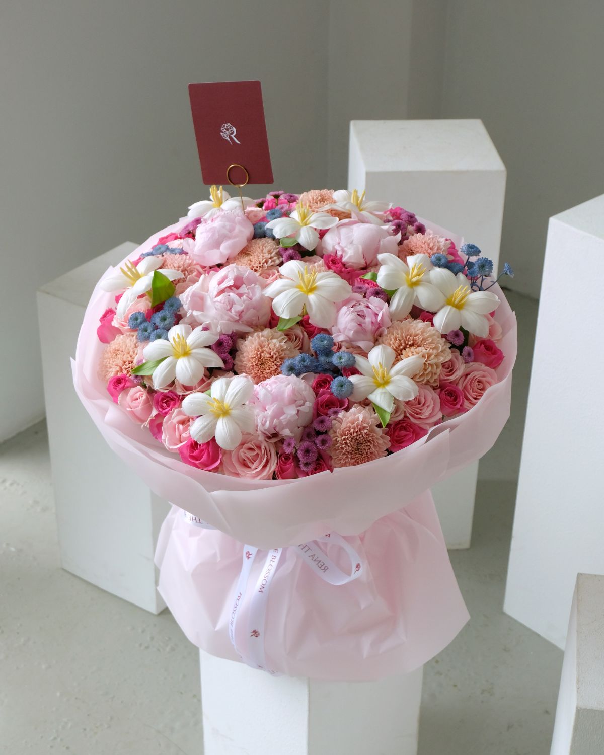 Grande Rainbow - Fresh Peony