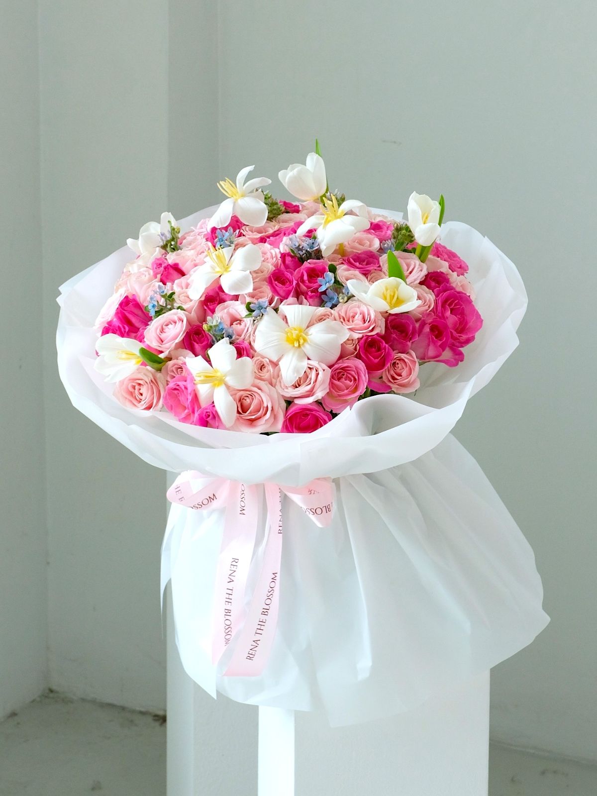 Pink Loly