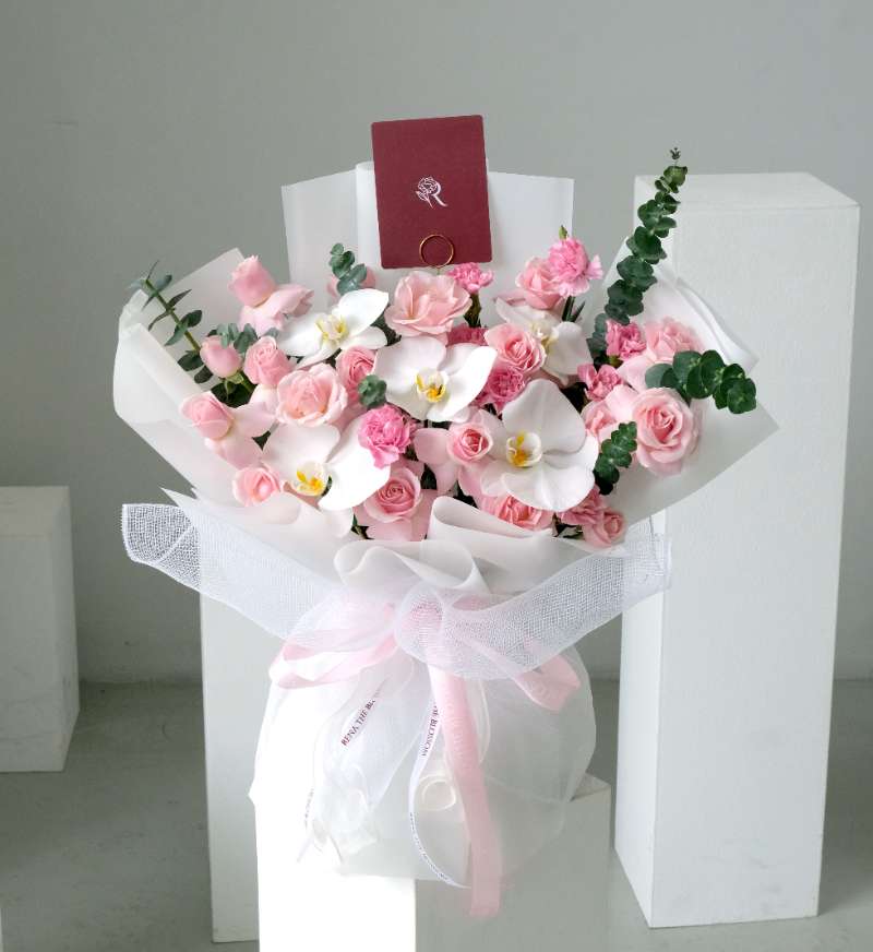 Orchid