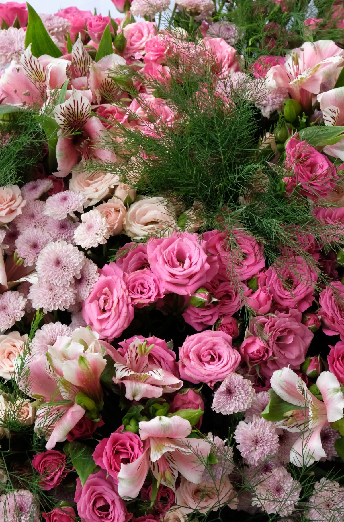Whisper of Spring - Thumbnail 2 - fresh